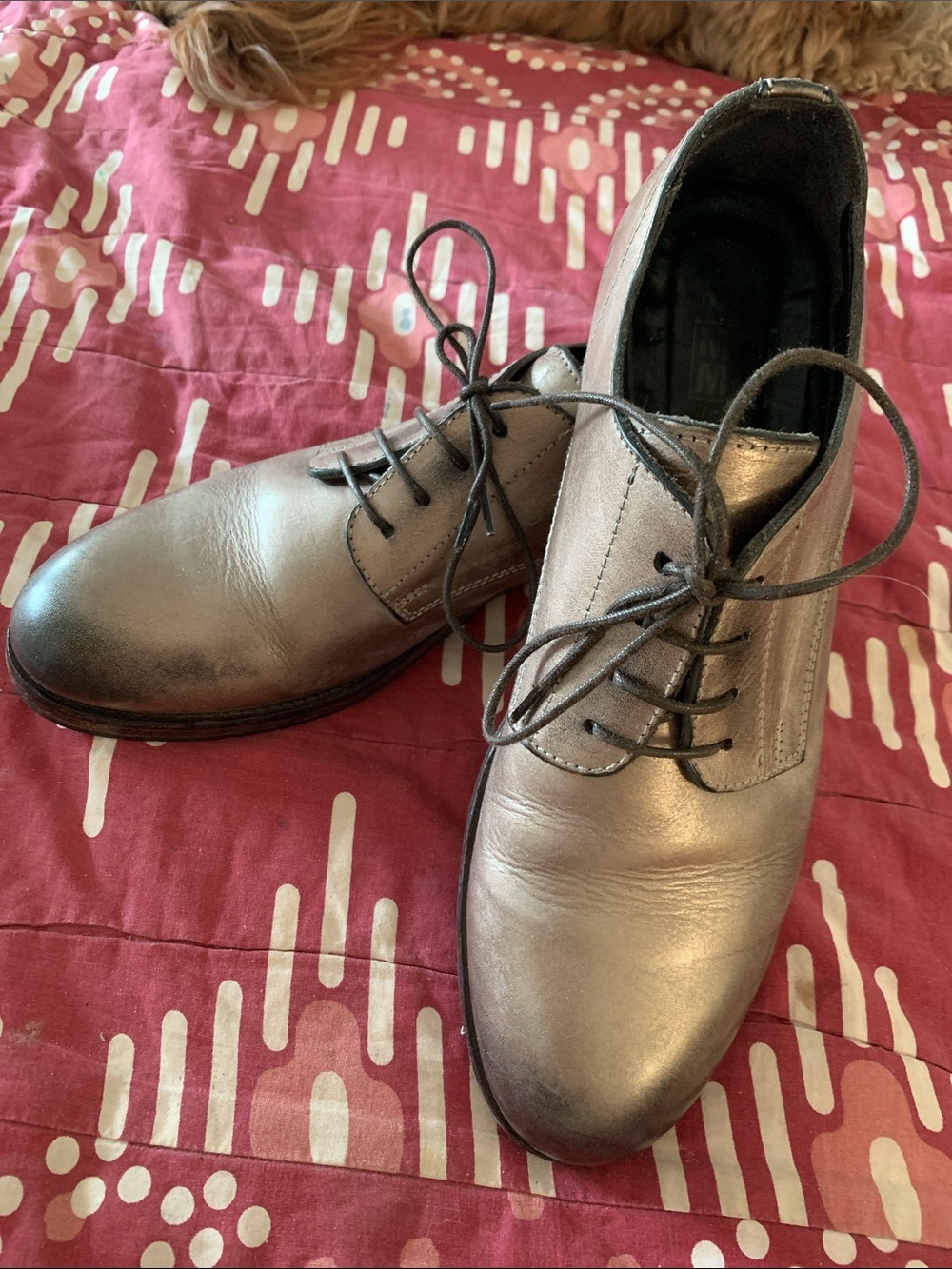 Moma Metallic Silver Lace-Up Derby Shoes